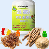 Healing Drops Sea Moss Ashwagandha Gummies