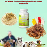Healing Drops Sea Moss Ashwagandha Gummies