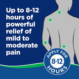 Salonpas Pain Relief Patch Lrg 9